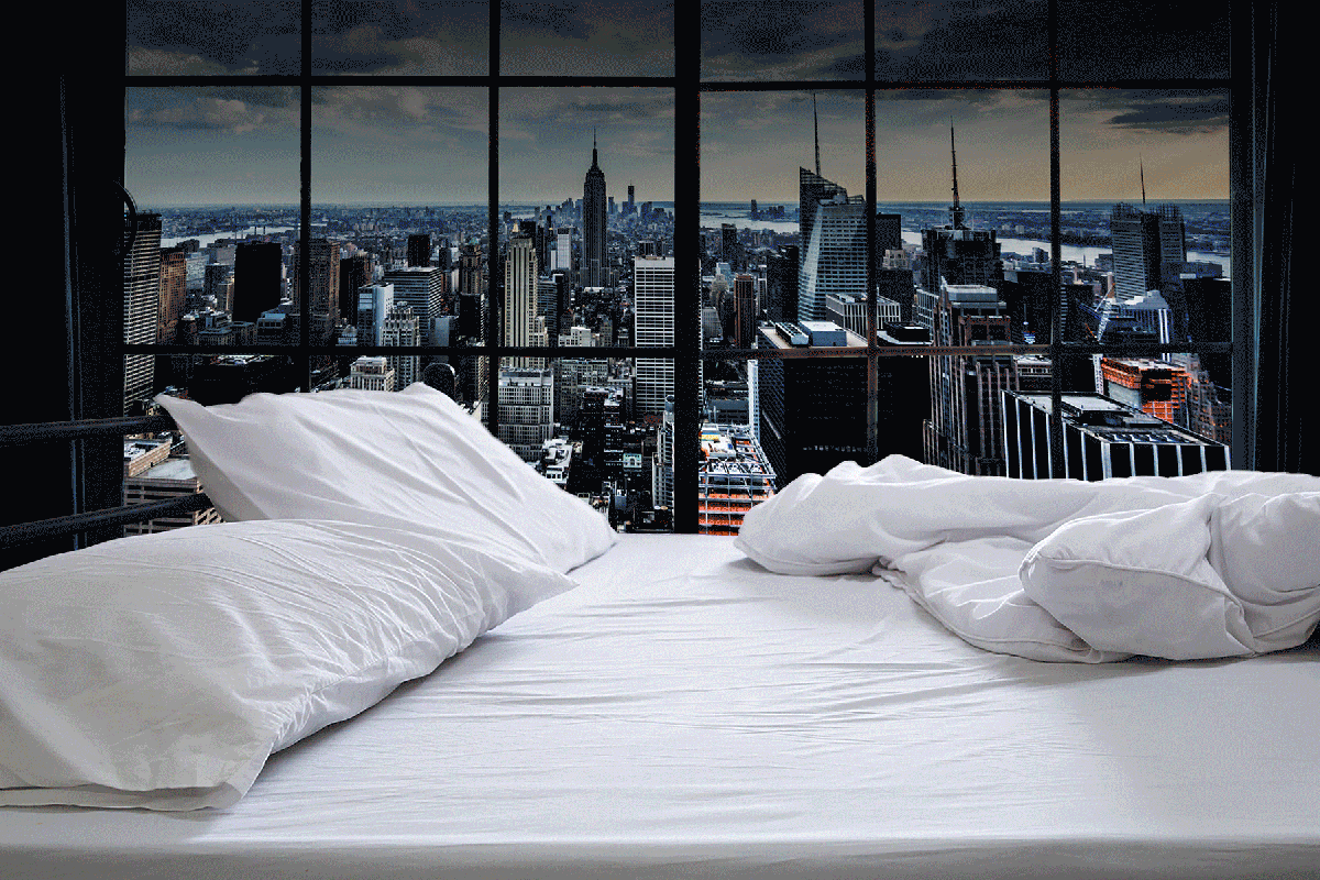Bed bug control services in Delhi NCR