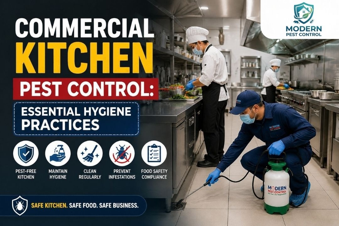 Commercial Kitchen Pest Control: Essential Hygiene Practices