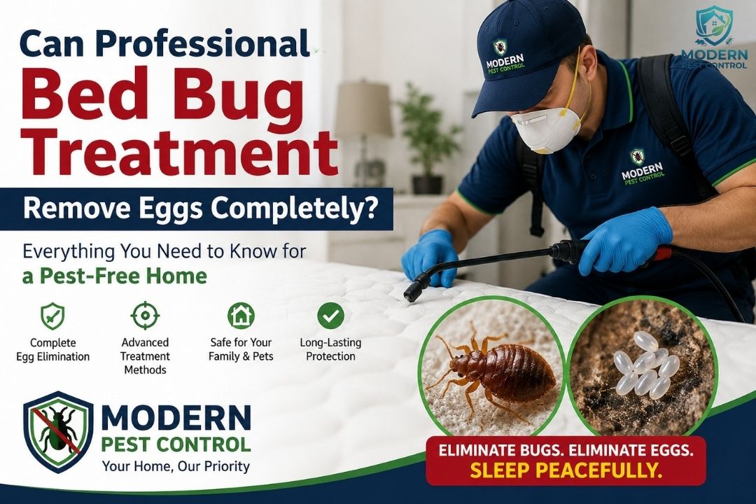 Can Professional Bed Bug Treatment Remove Eggs Completely?
