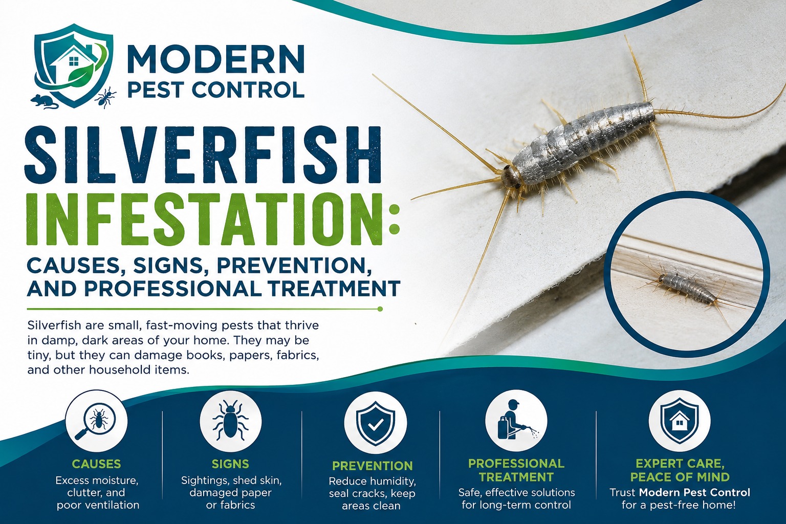 Silverfish Infestation: Causes, Signs, Prevention, and Professional Treatment
