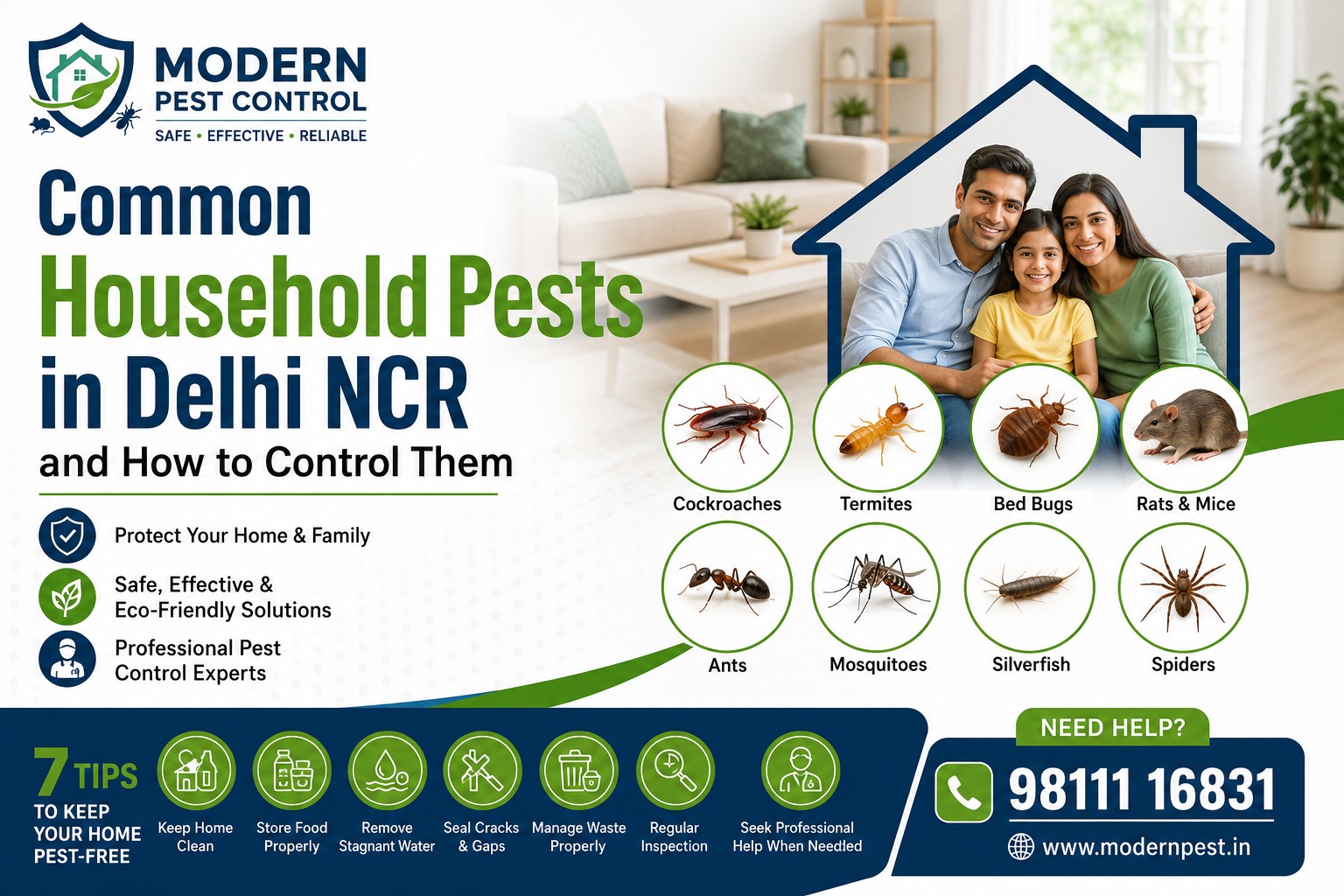 Common Household Pests in Delhi NCR and How to Control Them