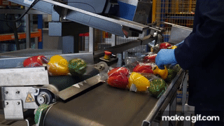 Food industry pest control services in Delhi NCR