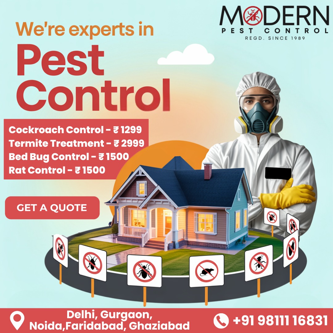 How Do I Stop Termites From Damaging My Home?