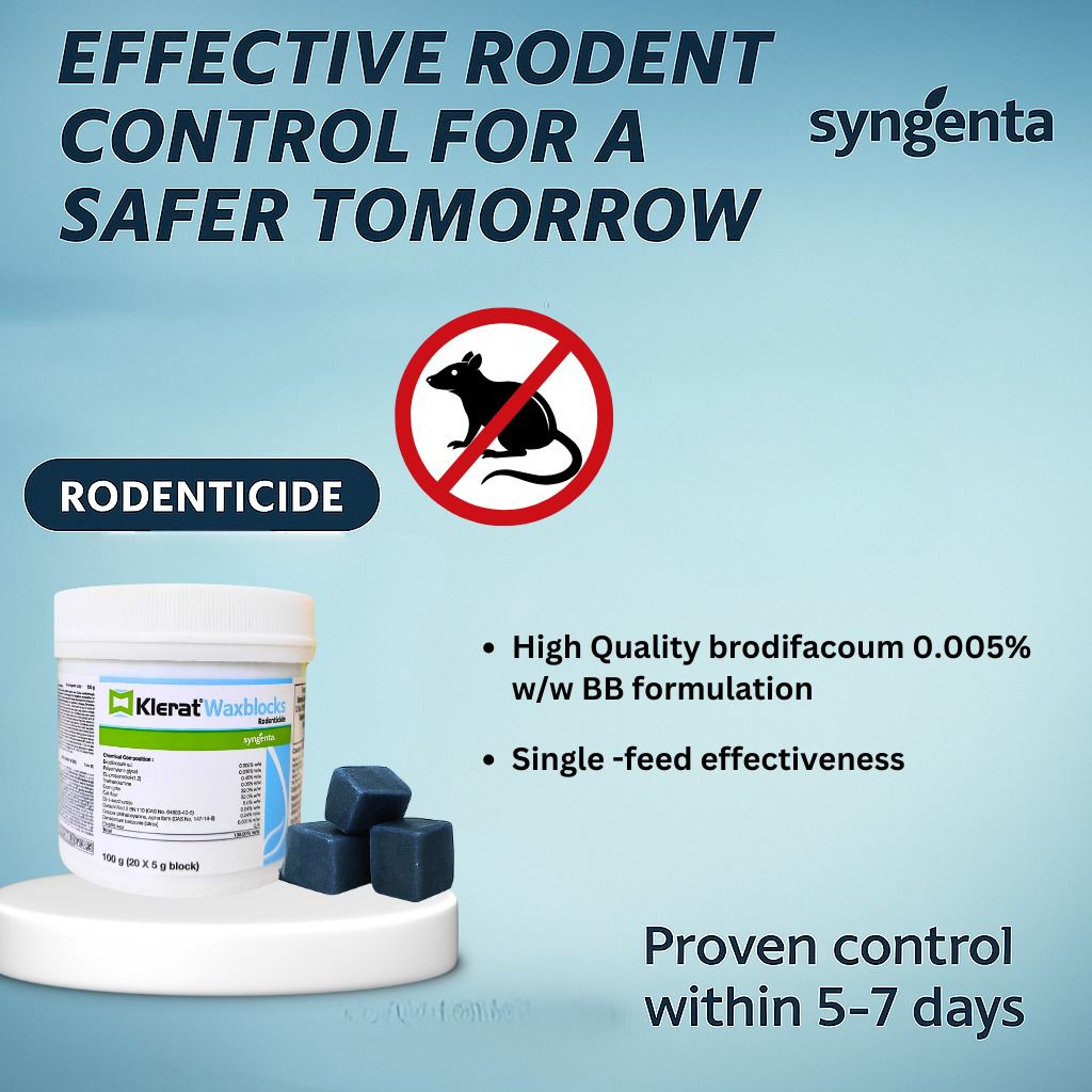 Rat Control